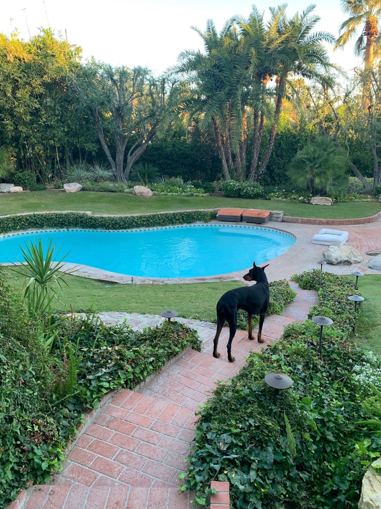 PalmSprings 12-21.jpeg
